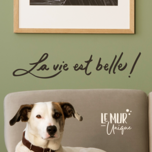 citationpositive la vie est belle