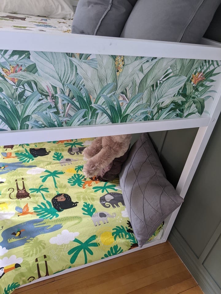 Feuillage forêt amazonienne – Image 3